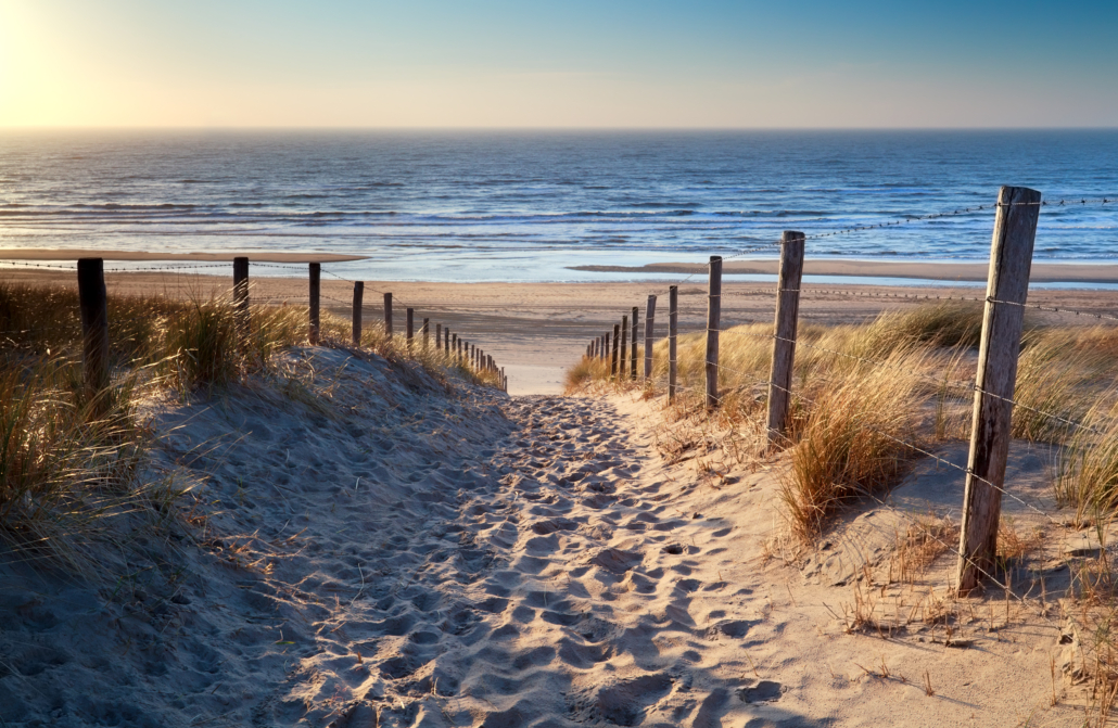 path to North sea beach in gold sunshine Van Saaze Coaching